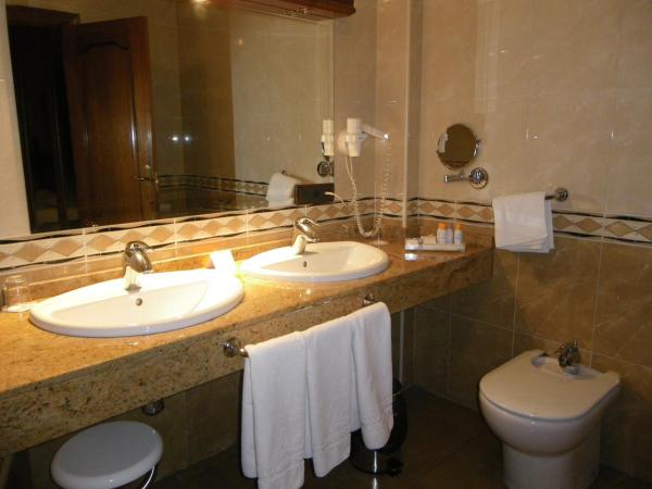 Hotel Ele Puente Romano de Salamanca : photo 8 de la chambre chambre double supérieure