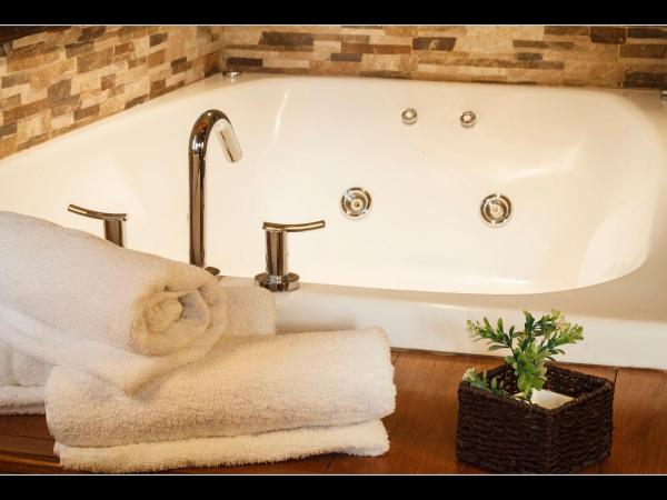 Boutique Hotel & Spa Bosque del Nahuel : photo 10 de la chambre suite junior - vue sur lac