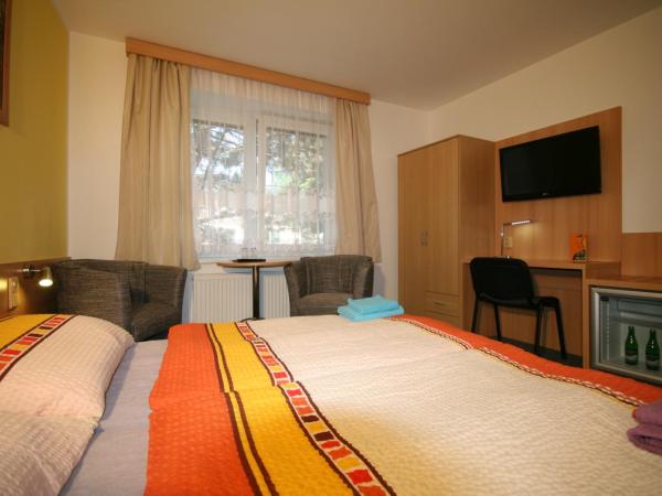 H+M Penzion : photo 5 de la chambre chambre double ou lits jumeaux