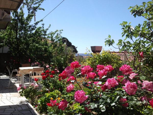 Dino and Jele Apartments : photo 9 de la chambre appartement 1 chambre avec terrasse (2 adultes)