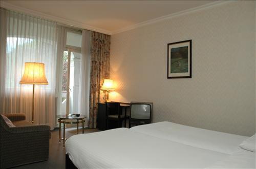 Mattenhof Resort : photo 2 de la chambre chambre simple standard