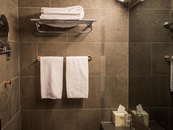 Arken Hotel & Art Garden Spa : photo 1 de la chambre single room classic (excluding spa)