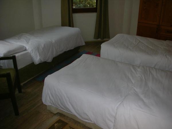 Eden Hotel : photo 3 de la chambre chambre triple standard