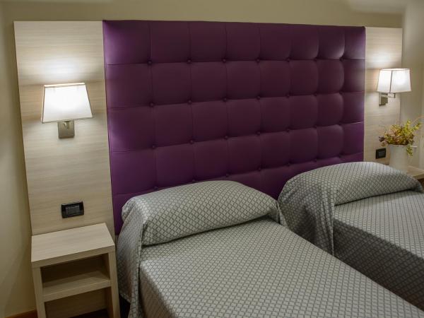 Hotel Torino Porta Susa : photo 10 de la chambre chambre lits jumeaux