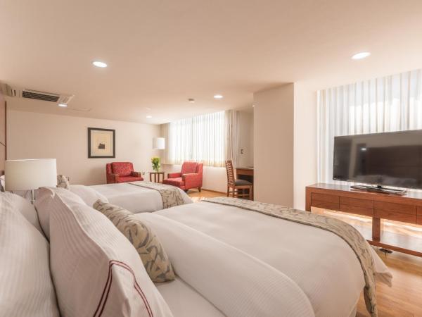 Suites Perisur Apartamentos Amueblados : photo 4 de la chambre penthouse