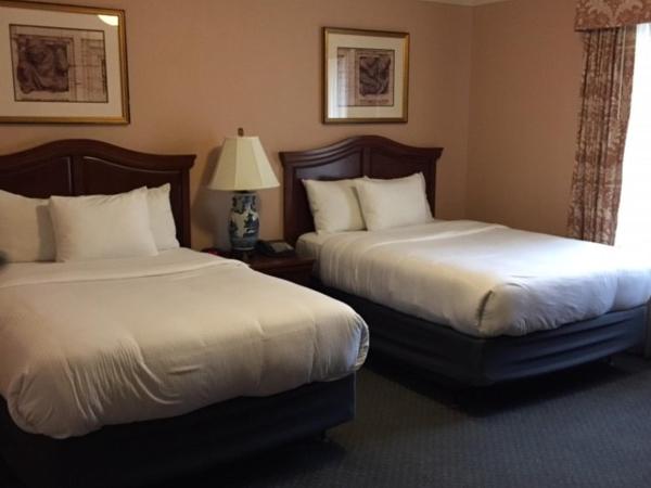 Columbia Club : photo 1 de la chambre chambre double avec 2 lits doubles