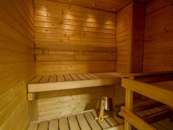 Economy Hotel Savonia : photo 3 de la chambre suite avec sauna