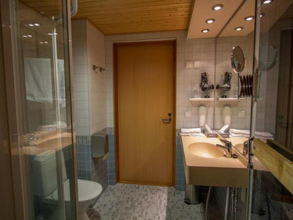 Economy Hotel Savonia : photo 10 de la chambre suite avec sauna