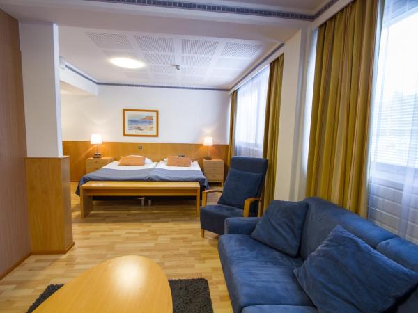 Economy Hotel Savonia : photo 5 de la chambre suite avec sauna