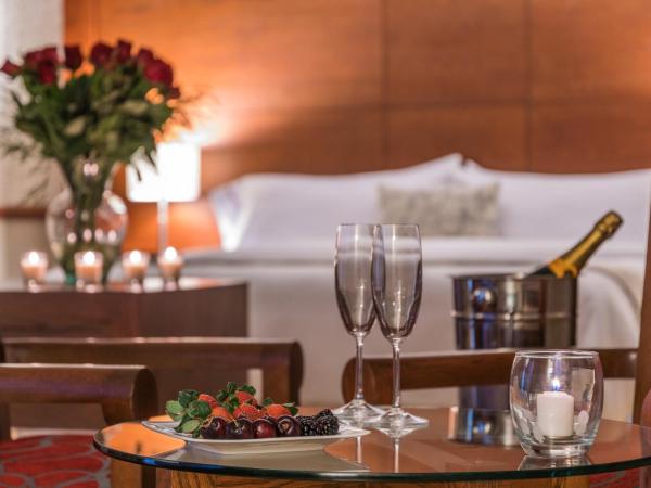 Suites Perisur Apartamentos Amueblados : photo 7 de la chambre suite supérieure 