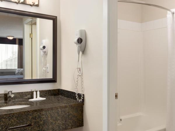 Travelodge by Wyndham Kamloops Mountview : photo 3 de la chambre chambre lit king-size avec lit escamotable