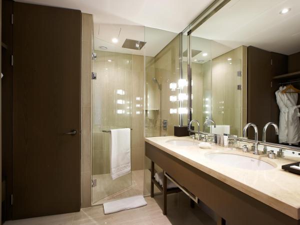 Hotel Entra Gangnam : photo 2 de la chambre grand river king