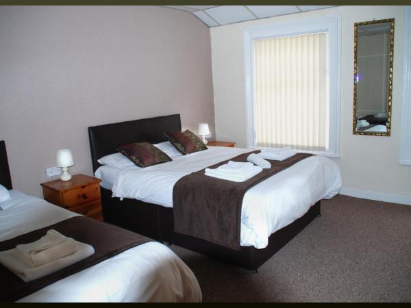 Hotel Vienna : photo 5 de la chambre chambre familiale (2 adultes + 1 enfant)