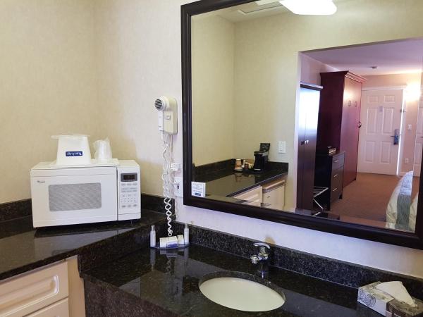 Travelodge by Wyndham Kamloops Mountview : photo 6 de la chambre chambre lit king-size avec lit escamotable