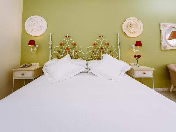 Basic Hotel Doña Manuela : photo 4 de la chambre chambre double supérieure avec terrasse privée