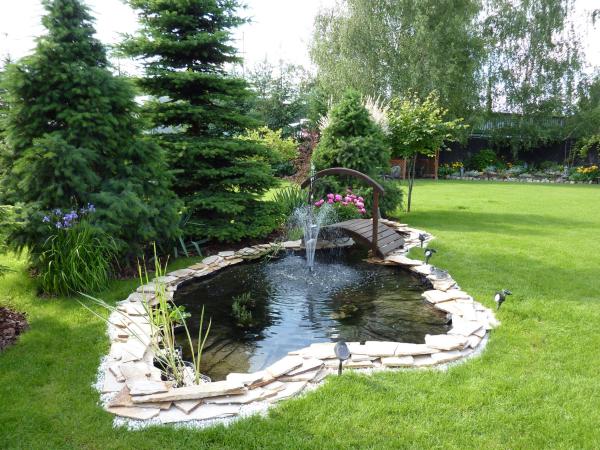 Hotel Astra Tajemniczy Ogród : photo 2 de la chambre chambre simple standard