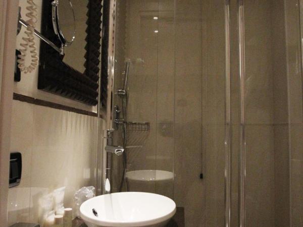 Hotel Milano & SPA***S : photo 5 de la chambre petite chambre avec lit double