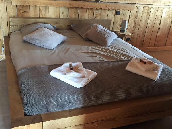 Les Chalets du Thorens : photo 1 de la chambre appartement 4 chambres (9-12 adultes)