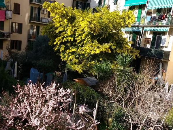 Bianca B&B : photo 3 de la chambre chambre double ou lits jumeaux