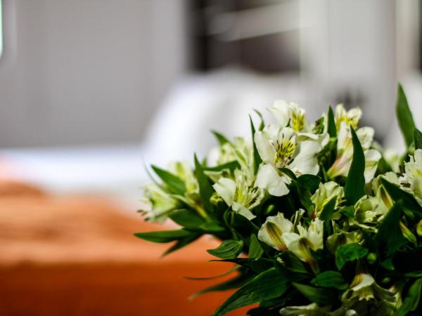 Hotel Estadio : photo 5 de la chambre chambre de luxe avec 2 lits queen-size.