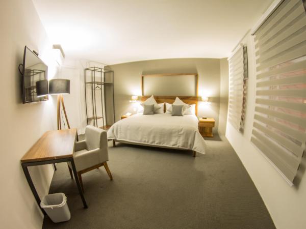 Hotel Boutique Abad : photo 3 de la chambre chambre standard lit queen-size