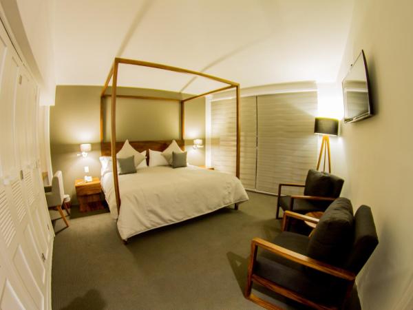 Hotel Boutique Abad : photo 7 de la chambre chambre lit queen-size deluxe