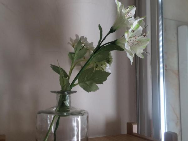 Fleur Blanche : photo 7 de la chambre chambre double avec salle de bains privative