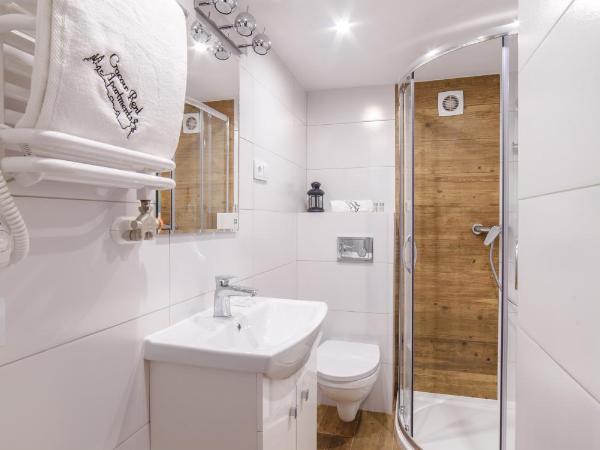 2 Nights Apartments - great location, right next to Main Rail and Bus Station, 10 min to Main Square by foot : photo 2 de la chambre maisonnette