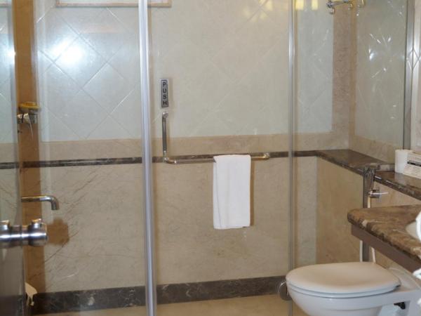 The President Hotel : photo 7 de la chambre chambre double de luxe