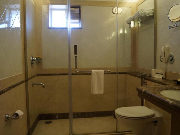 The President Hotel : photo 9 de la chambre studio