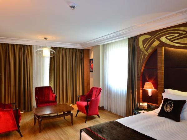 Warwick Ankara : photo 2 de la chambre suite junior