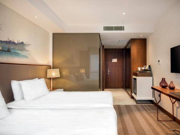 Lionel Hotel Istanbul : photo 2 de la chambre chambre double ou lits jumeaux Économique