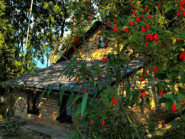 Tiger Mountain Pokhara Lodge : photo 3 de la chambre chambre double ou lits jumeaux - vue sur montagnes