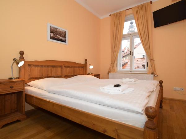 Pension Zámecká Apartmá - Castle Apartments : photo 1 de la chambre chambre double Économique