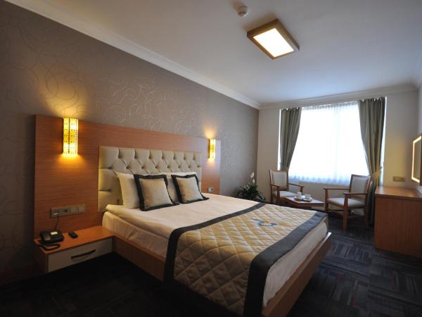 Double Comfort Hotel : photo 3 de la chambre chambre double