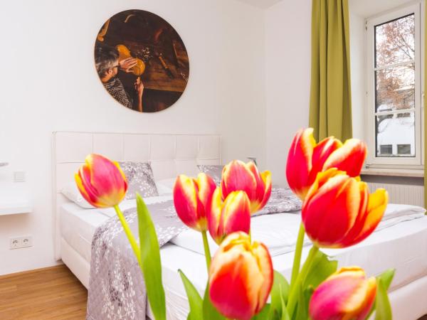 Amedeo Zotti Residence Salzburg : photo 8 de la chambre appartement 2 chambres a