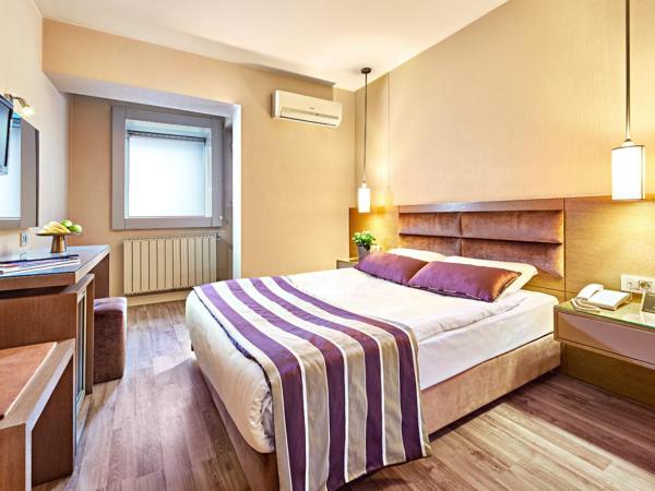 The New Hotel Zeybek : photo 3 de la chambre chambre double ou lits jumeaux