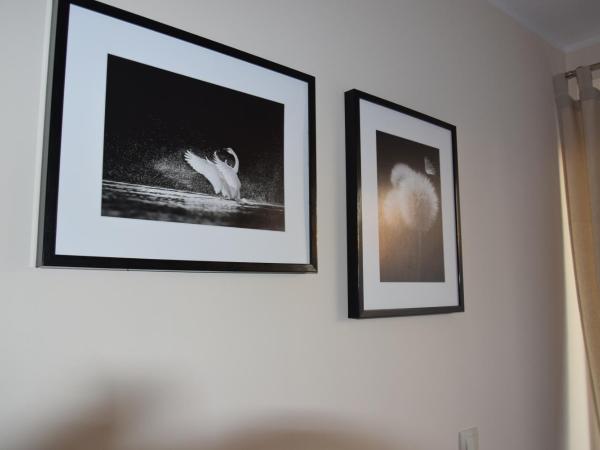 Botanik Hostel : photo 10 de la chambre chambre simple avec toilettes et douche communes