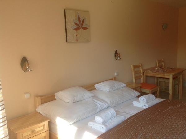 Attila Apartmanház : photo 1 de la chambre studio avec balcon