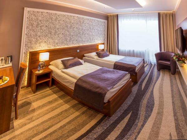 Avanti Hotel : photo 2 de la chambre chambre double ou lits jumeaux premium avec accès au centre relax public