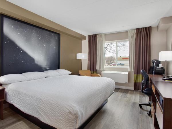 Super 8 by Wyndham Winnipeg West : photo 1 de la chambre chambre lit king-size affaires - non-fumeurs
