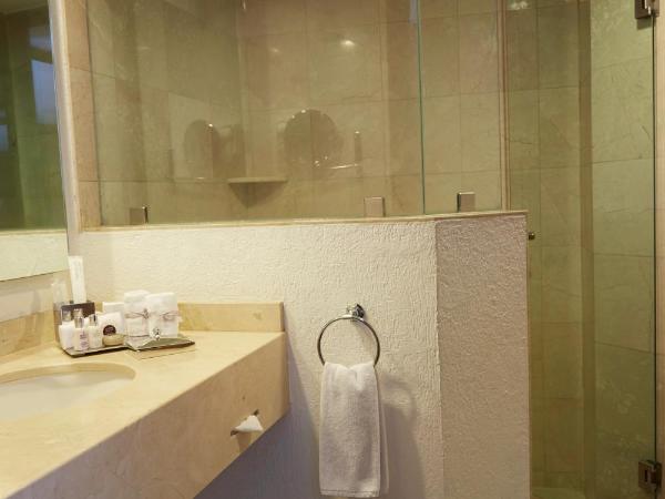 Ejecutivo Express Guadalajara Providencia - Av México : photo 5 de la chambre chambre lit king-size standard