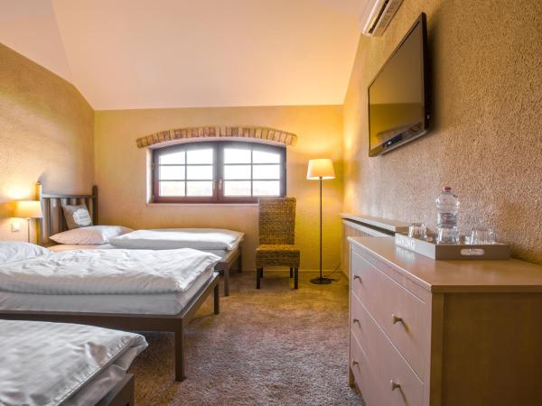 Apartamenty Za Murem : photo 2 de la chambre studio