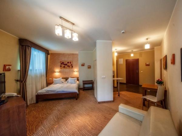 Hotel Murowanica : photo 2 de la chambre studio