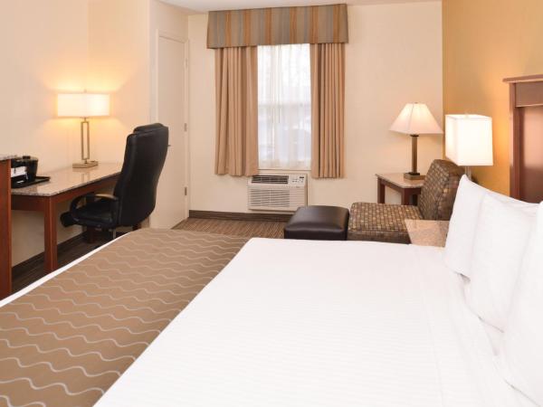 Best Western Executive Inn & Suites : photo 6 de la chambre chambre lit king-size - accessible aux personnes à mobilité réduite