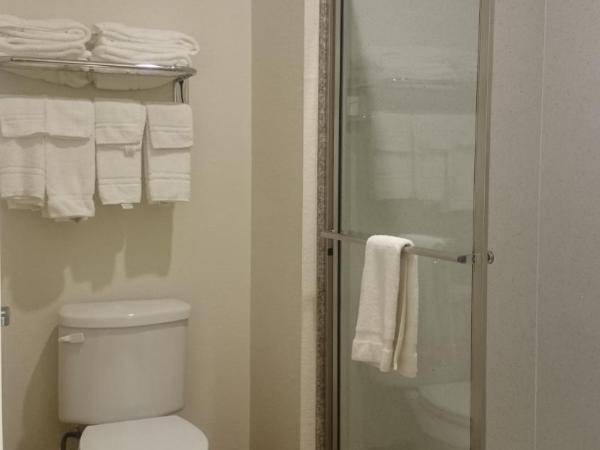 Regency Inn & Suites- NW Houston : photo 5 de la chambre chambre 2 lits queen-size - non-fumeurs