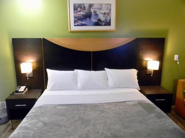 American Plaza Motel : photo 3 de la chambre chambre lit king-size