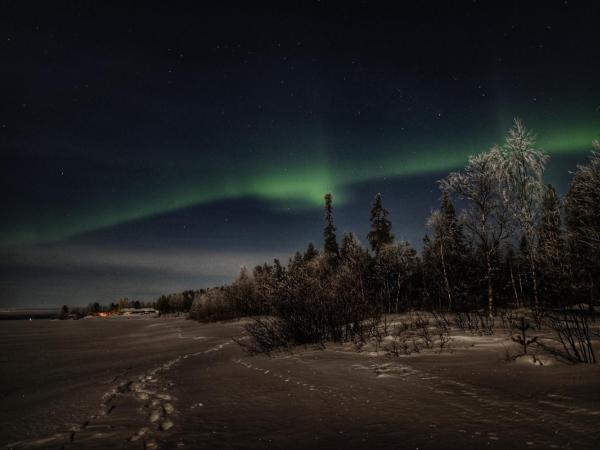 Napapiirin Järvilomat : photo 5 de la chambre cottage 3 chambres avec sauna