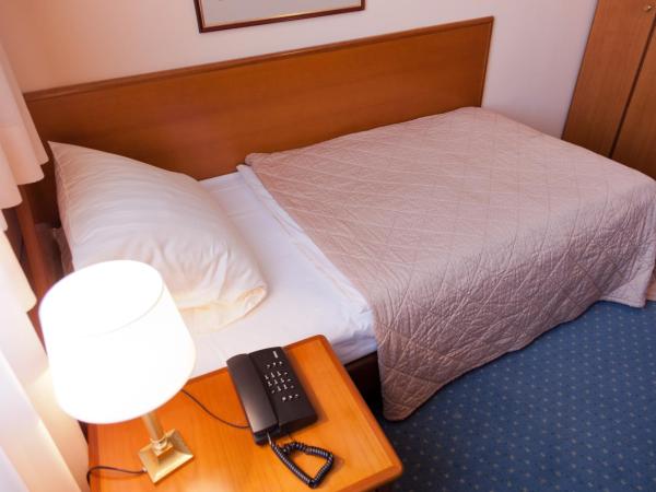 Hotel Rubin : photo 1 de la chambre chambre simple