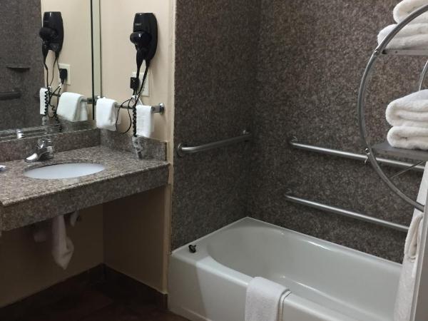 Scottish Inns & Suites Timber Creek, Houston, TX : photo 1 de la chambre chambre double